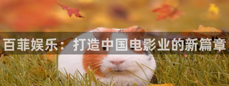 红足1世足球网址大全：百菲娱乐：打造中国电影业的新篇章