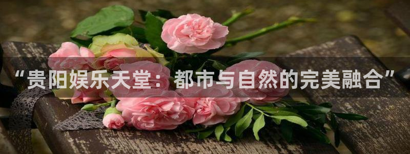 红足1世足球网页版入口：“贵阳娱乐天堂：都市与自然的完美融合”