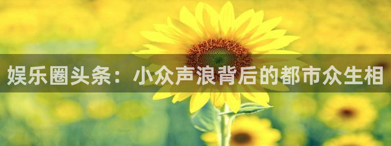 红足1世足球官网入口：娱乐圈头条：小众声浪背后的都市众生相