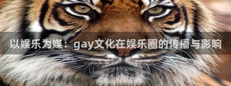 红足1世足球官网入口：以娱乐为媒：gay文化在娱乐圈的传播与影响
