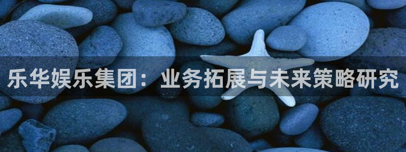 红足1世2站：乐华娱乐集团：业务拓展与未来策略研究